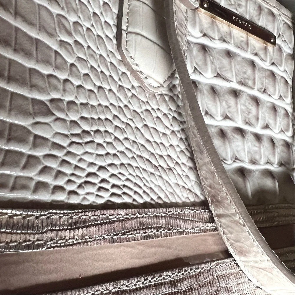 Brahmin mini asher